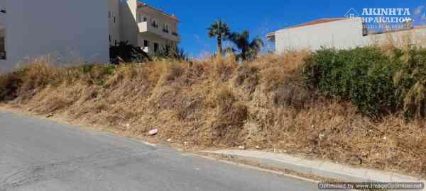 20220914_142202.jpg